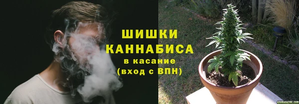 хмурый Абаза