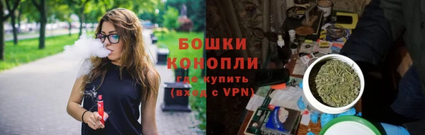 PSILOCYBIN Бабаево