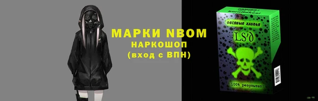 хмурый Абаза