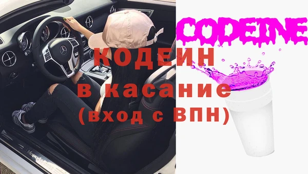 хмурый Абаза