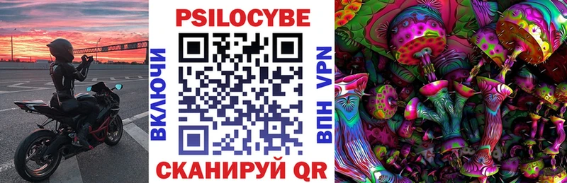 купить наркотик  Коряжма  Галлюциногенные грибы Psilocybe 